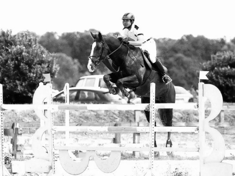 pensions chevaux ,  valorisation chevaux, élevage, concours 